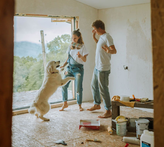 Couple renovating their home